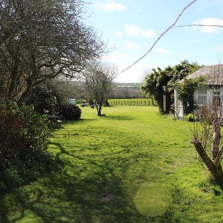 Cozy Country Cottage With Beautiful Rural Views New Quay Exteriér fotografie