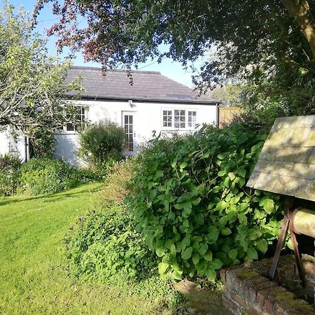 Cozy Country Cottage With Beautiful Rural Views New Quay Exteriér fotografie