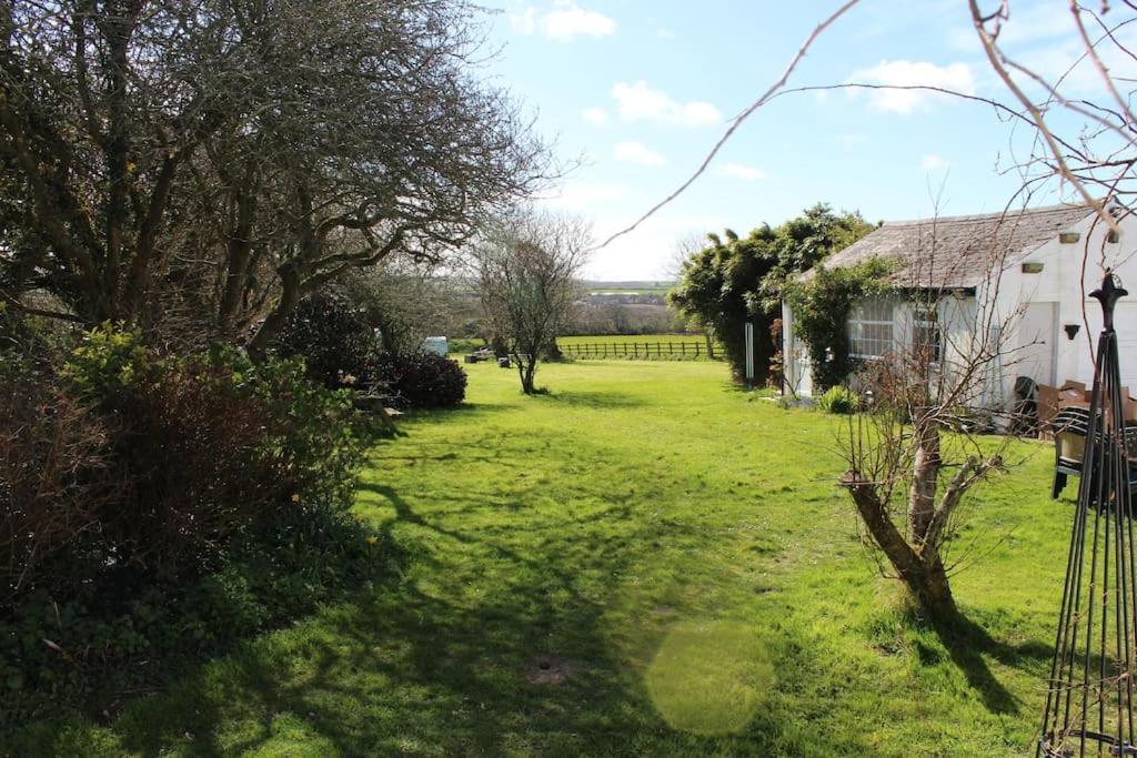Cozy Country Cottage With Beautiful Rural Views New Quay Exteriér fotografie
