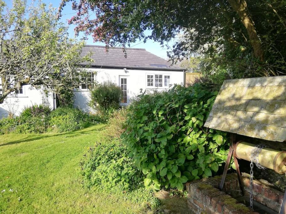 Cozy Country Cottage With Beautiful Rural Views New Quay Exteriér fotografie