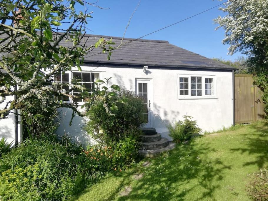 Cozy Country Cottage With Beautiful Rural Views New Quay Exteriér fotografie